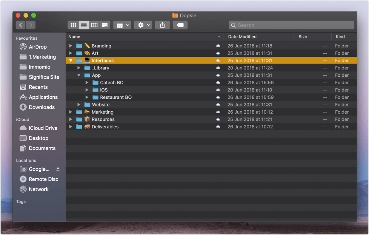 An organised Google Drive folder with all of the project's contents